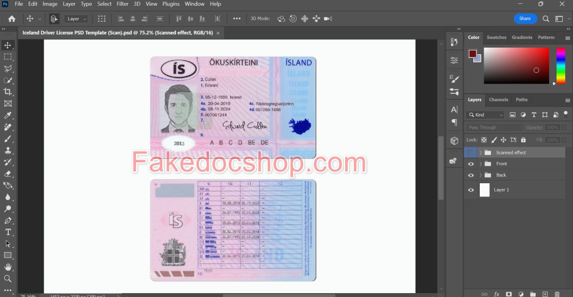 Iceland Driver license psd Template