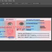 Poland fake residence permit psd template 1200DPI version
