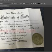 USA NewYork Certificate Of Birth Psd Template