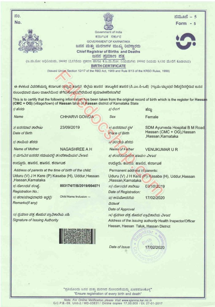 Indian Birth Certificate Template in PDF format