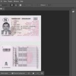 Norway Driver License PSD Template