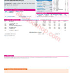 South America Brazil Enel Utility Bills And Address Proof PDF Template