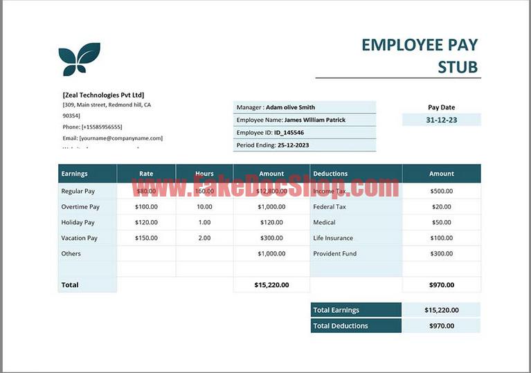 Zeal Technologies Paystub template