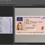Ireland driving license psd Template Fully Editable