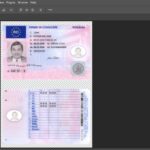 Romania Driving License PSD Template