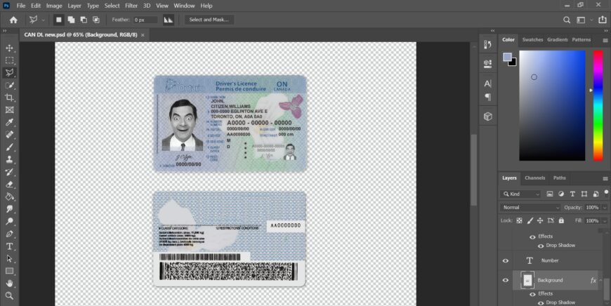 Canada Ontario driving license template in PSD format