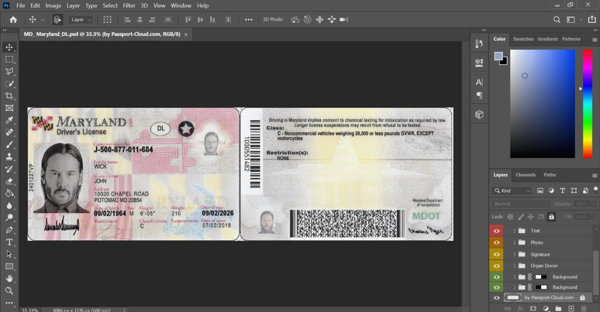 Maryland Driver License Template in PSD Format V2