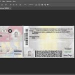 Maryland Driver License Template in PSD Format V2