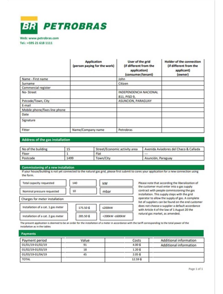 Paraguay Business Utility Bill Templates