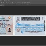 USA Florida driving license editable PSD Template V3