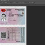 Albania Driver License PSD Template New Version