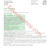 England OVO Energy Utility Bill word And PDF Template