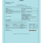 Kenya business license pdf template