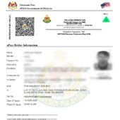 Malaysia e-pass multiple entry visa PSD template