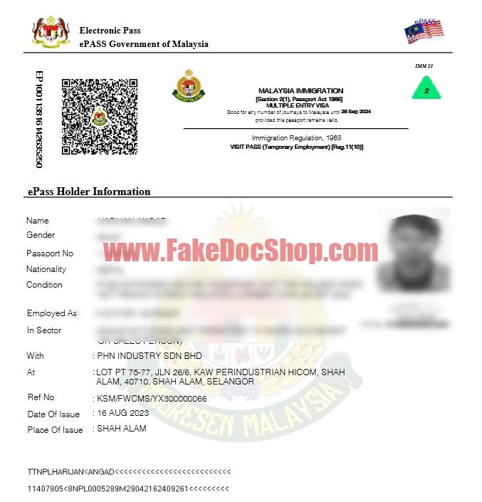 Malaysia e-pass multiple entry visa template