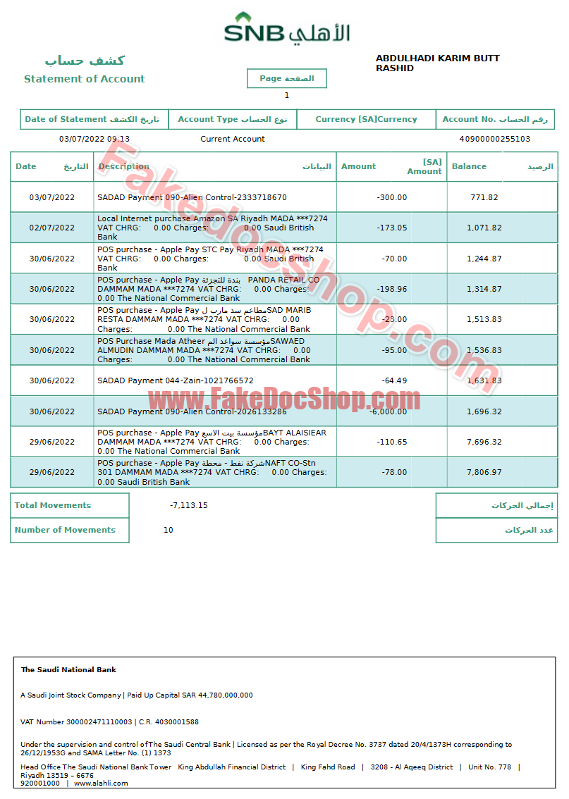 SNB Bank enterprise statement Word and PDF template