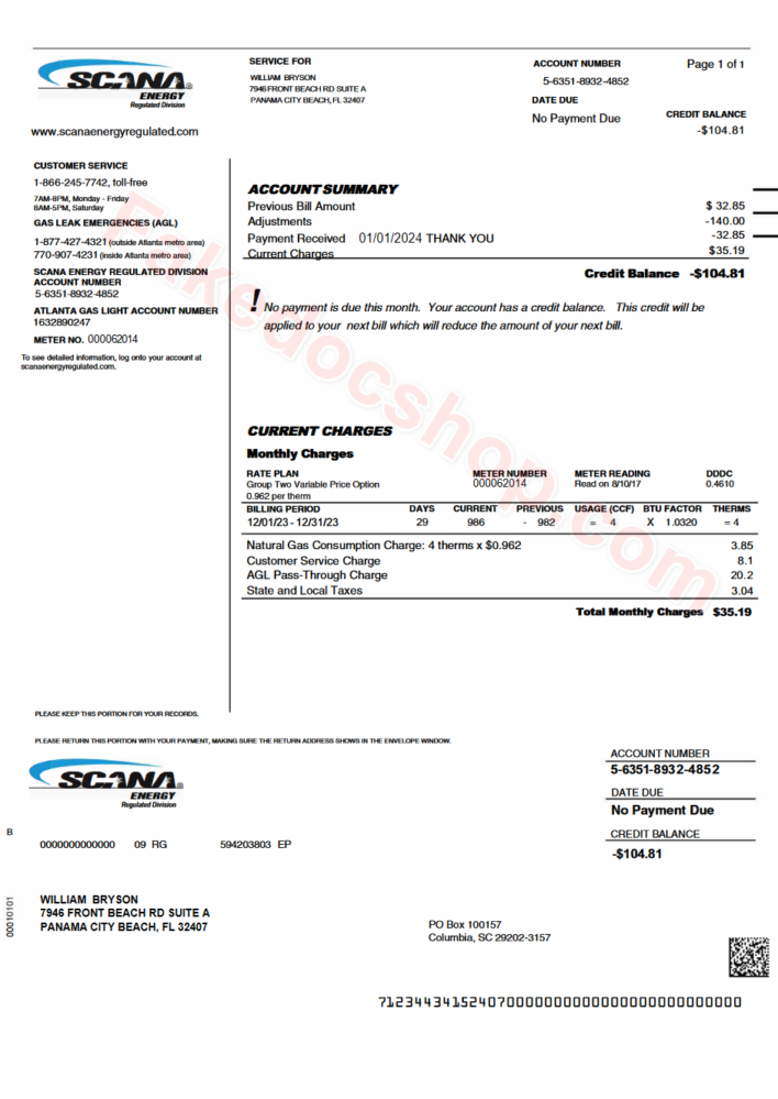 USA SCANA Energy Regulated Division Billing Statement Template