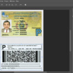Bolivia driving license PSD Template