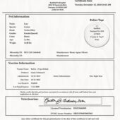 Banfield pet hospital Rabies Certificate PSD Template