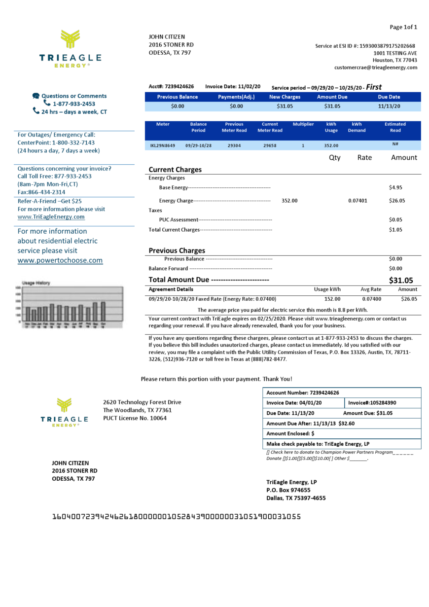 USA Texas TriEagle utility bill template