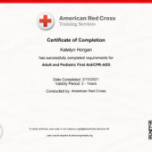 american red cross CPR/AED Certification PSD Template For TV Shows