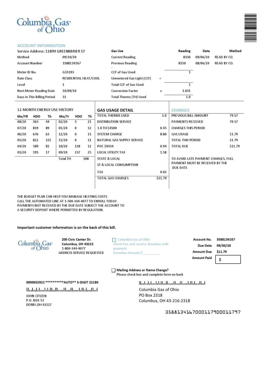 USA Columbia Gas Of Ohio Utility Bill Word And PDF Template