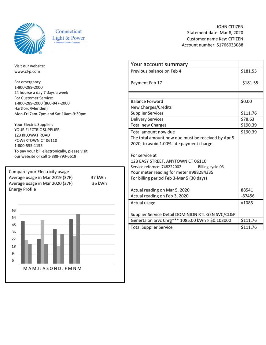 USA Connecticut Light Power electricity utility bill in Word and PDF format