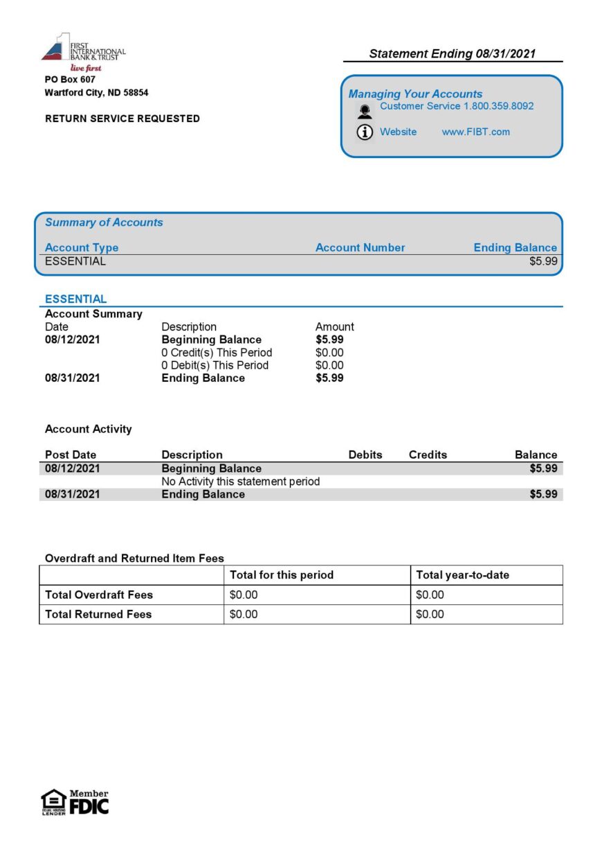 USA First International Bank Trust Bank Statement Word And PDF Template