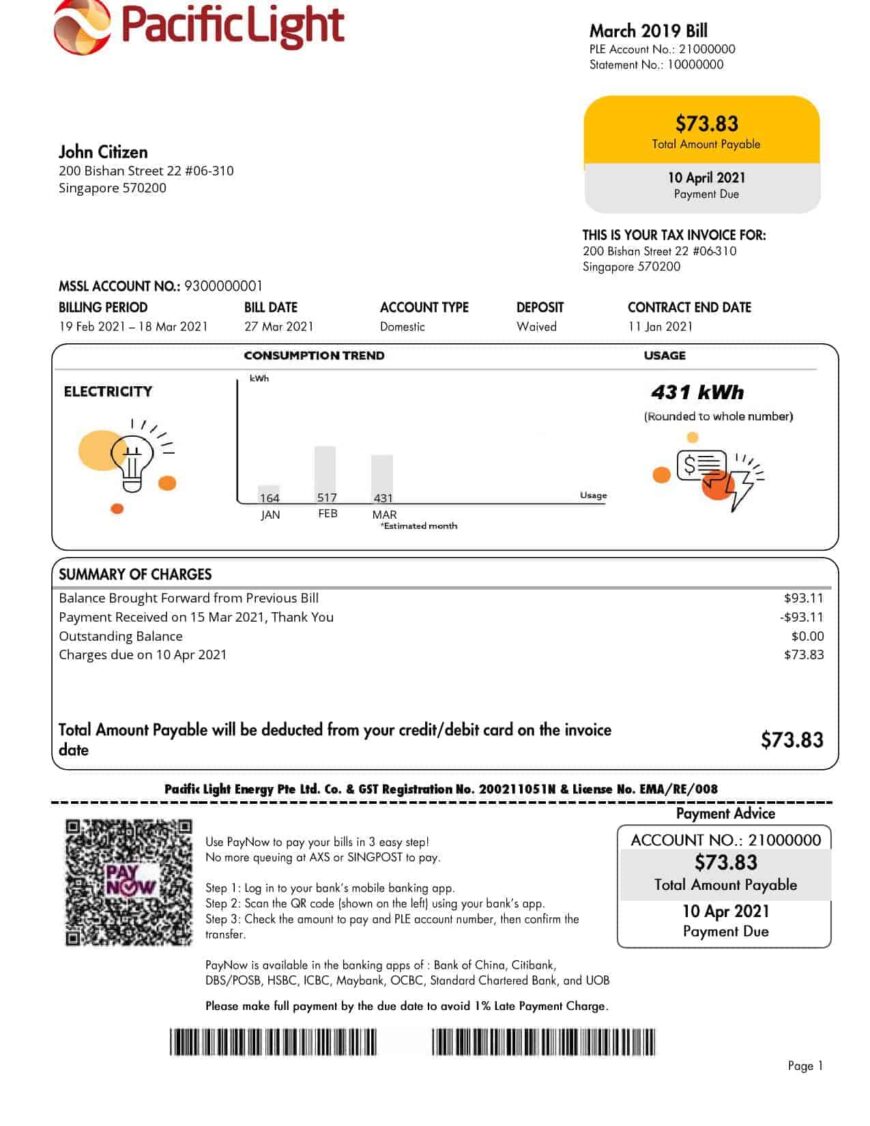 Singapore Pacific Light Electricity Utility Bill Word And PDF Template