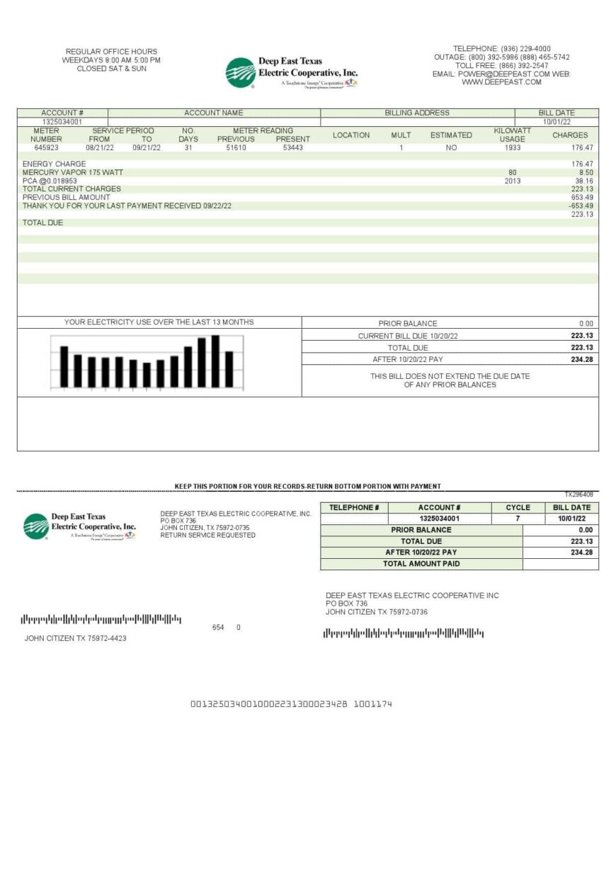 USA Deep East Texas Electric Utility Bill Template