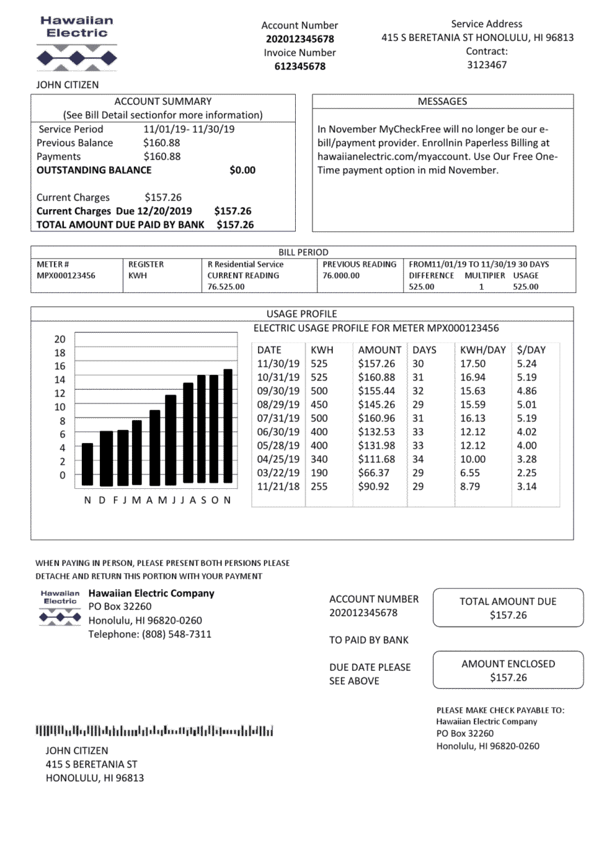 USA Hawaiian Electric Utility Bill Word And PDF Template