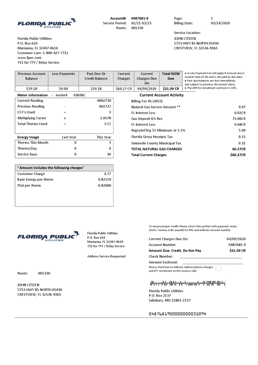 USA Florida Public Utilities Utility Bill Word And PDF Template