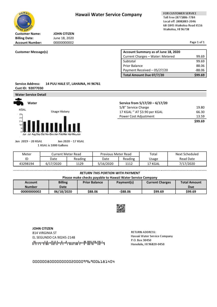 USA Hawaii Water Service Company Utility Bill Word And PDF Template