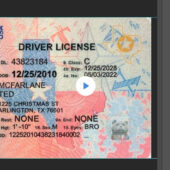 How to Edit And add background For Taxes Driving license Template