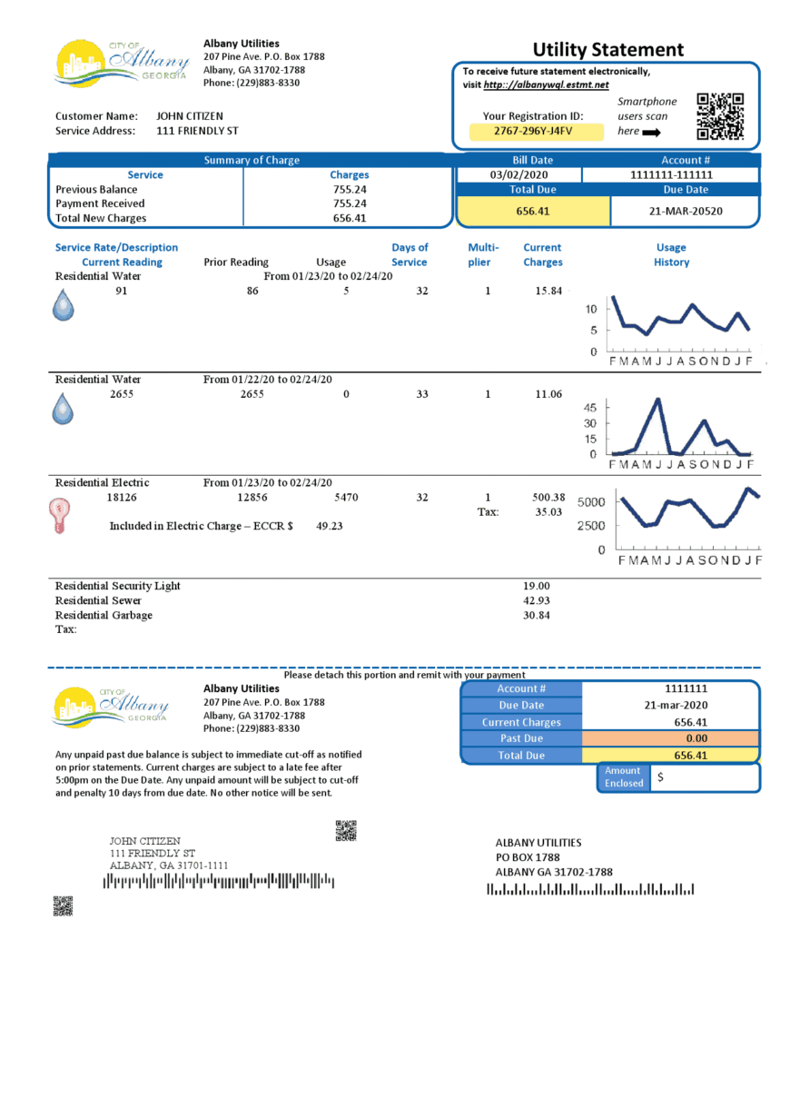 USA Georgia City Of Albany Water And Electricity Utility Bill Word And PDF Template