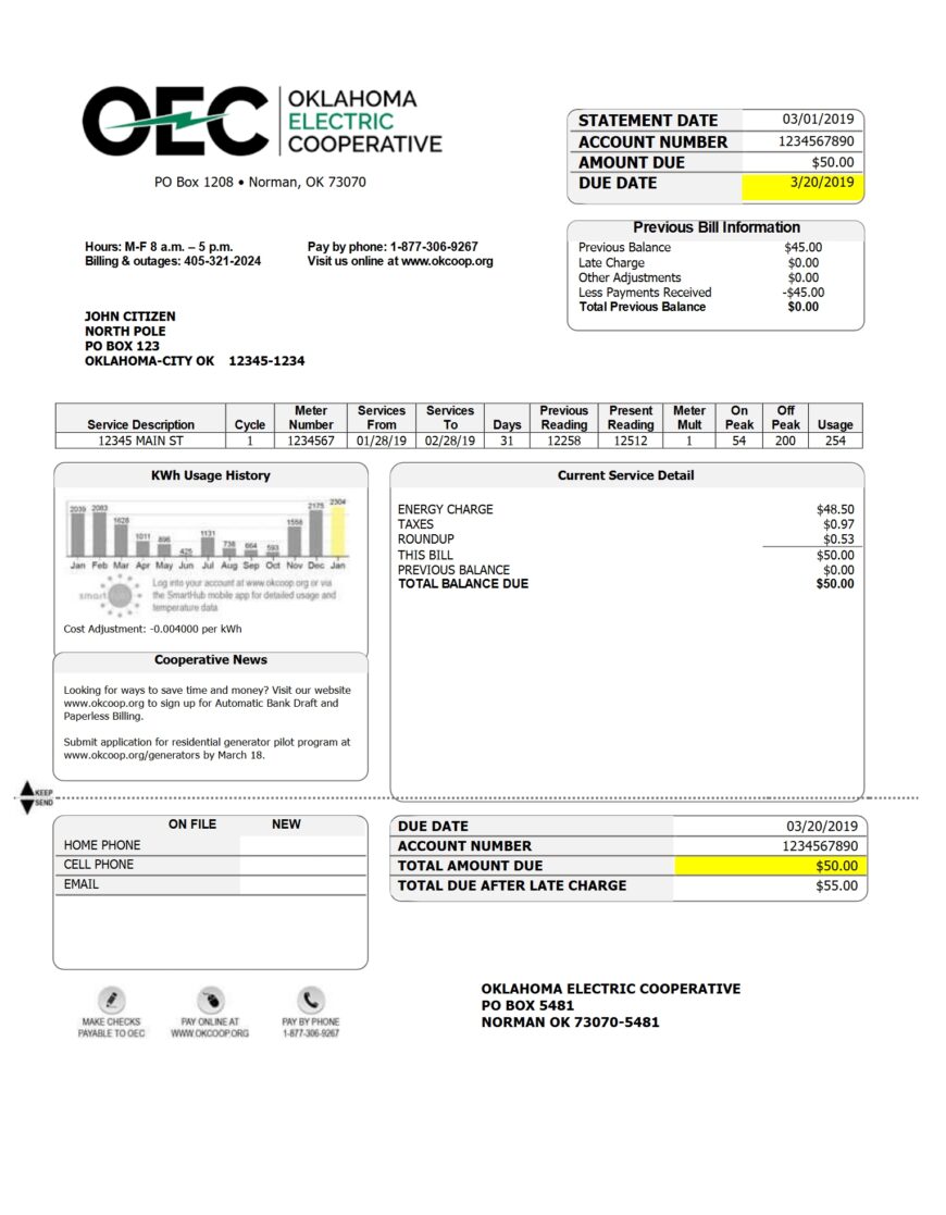 USA OEC Electricity Utility Bill Word And PDF Template
