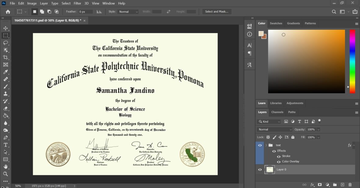 Authentic Looking Fake Certificate From Cal Poly Pomona University PSD Template