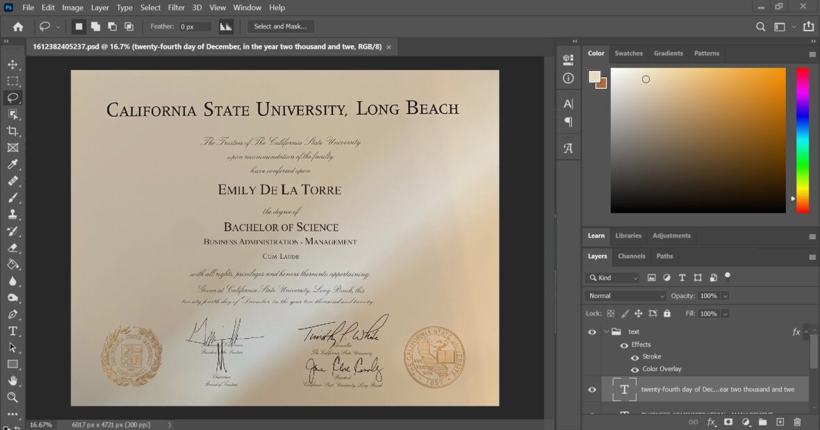 Fake Certificate From California State University Long Beach PSD Template