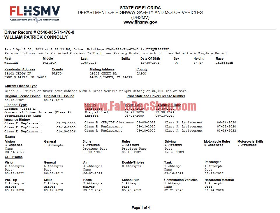 Florida USA Driver Record Template - A Customizable Guide in PDF and Word Format