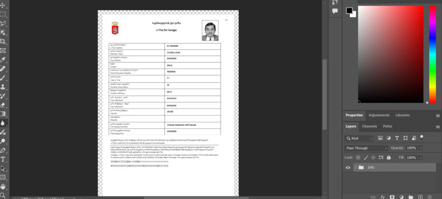 Georgia e-visa Template in PSD Format