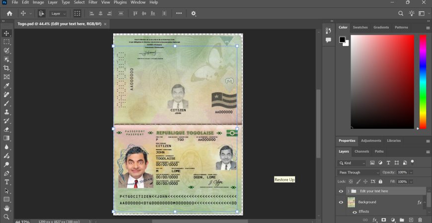 Togo passport psd template