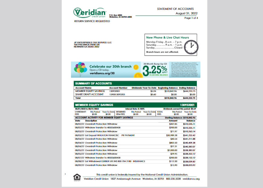 USA Veridian Business Statement Template in word and pdf format