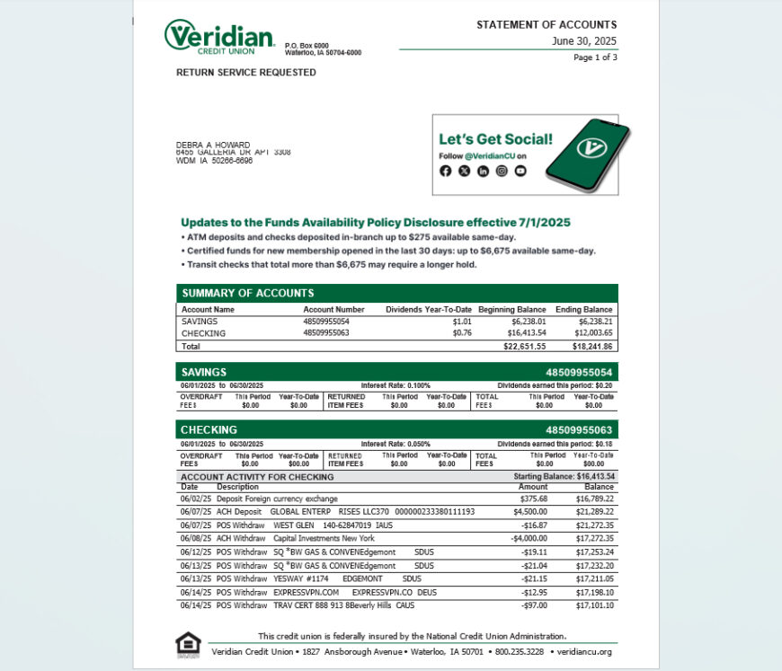 USA Veridian Statement of Accounts Template in word and pdf format