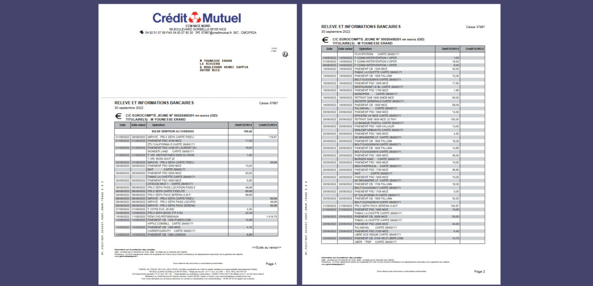 ING Current Account Statement Summary Template in Word And Template
