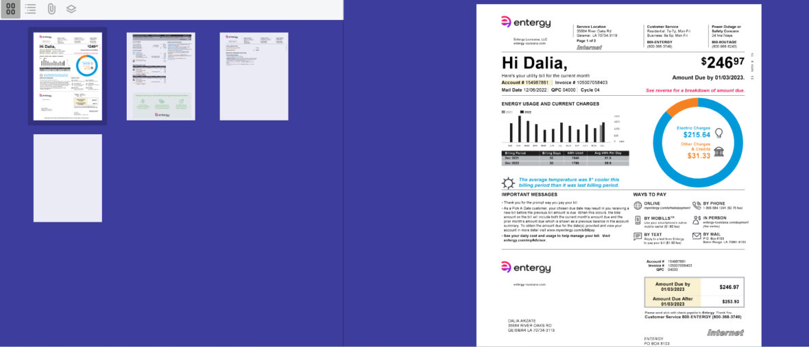 USA Entergy Louisiana Editable Utility Bill Template