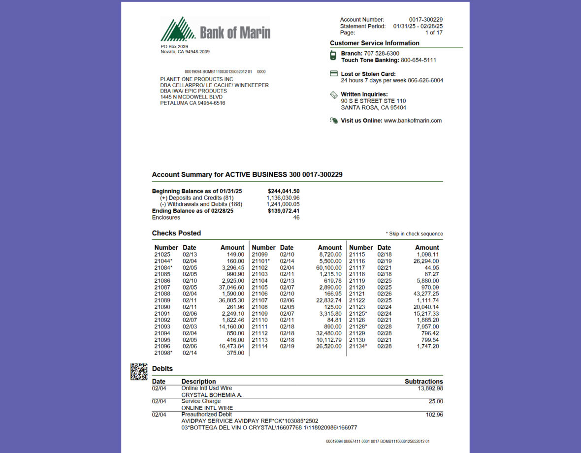United States Bank of Marin Business Statement Template