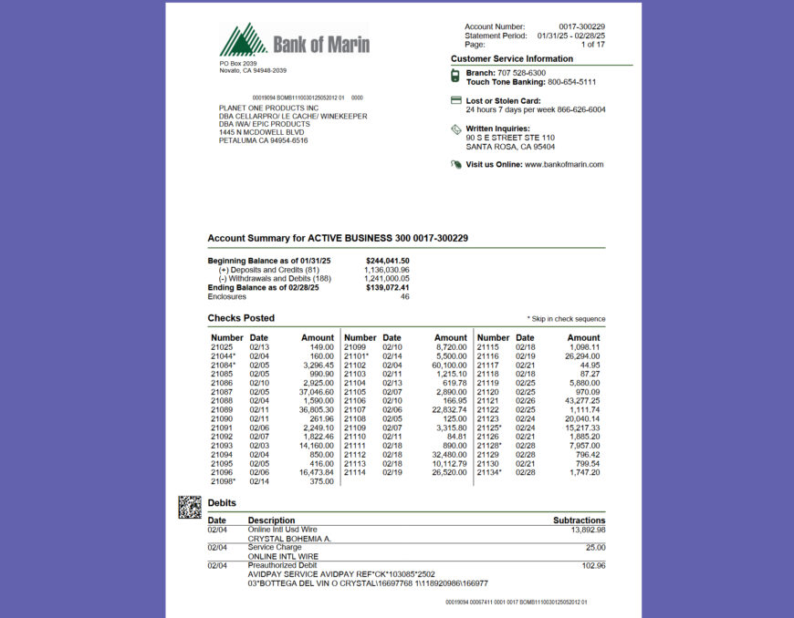 United States Bank of Marin Business Statement Template