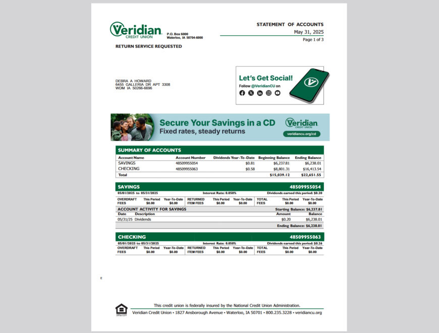 United States Veridian Credit Union Bank Account Statement Template
