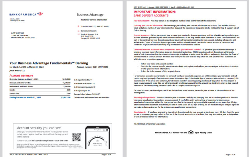 Bank of America Business Advantage Banking Statement Template in word and pdf format