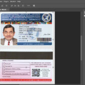 INTERNATIONAL Driver License New PSD Template V2